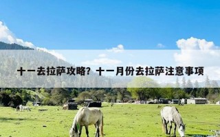十一去拉萨攻略？十一月份去拉萨注意事项