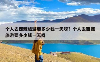 个人去西藏旅游要多少钱一天呀？个人去西藏旅游要多少钱一天呀