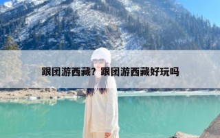 跟团游西藏？跟团游西藏好玩吗