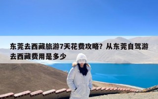 东莞去西藏旅游7天花费攻略？从东莞自驾游去西藏费用是多少