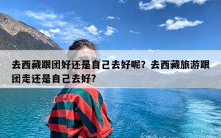 去西藏跟团好还是自己去好呢？去西藏旅游跟团走还是自己去好?
