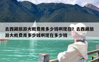 去西藏旅游大概费用多少钱啊现在？去西藏旅游大概费用多少钱啊现在多少钱