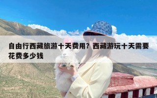 自由行西藏旅游十天费用？西藏游玩十天需要花费多少钱