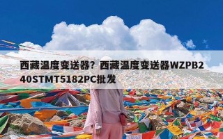 西藏温度变送器？西藏温度变送器WZPB240STMT5182PC批发