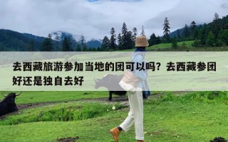 去西藏旅游参加当地的团可以吗？去西藏参团好还是独自去好