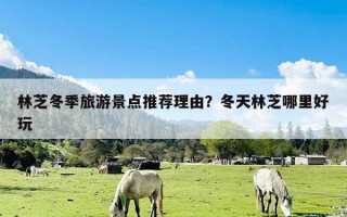 林芝冬季旅游景点推荐理由？冬天林芝哪里好玩