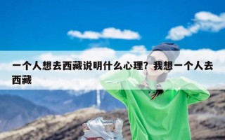 一个人想去西藏说明什么心理？我想一个人去西藏