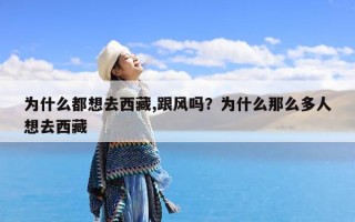 为什么都想去西藏,跟风吗？为什么那么多人想去西藏