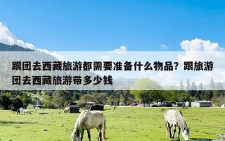 跟团去西藏旅游都需要准备什么物品？跟旅游团去西藏旅游带多少钱