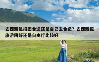 去西藏是报团合适还是自己去合适？去西藏报旅游团好还是自由行比较好