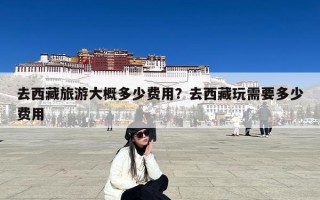 去西藏旅游大概多少费用？去西藏玩需要多少费用