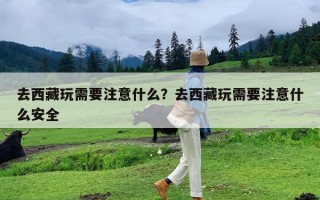 去西藏玩需要注意什么？去西藏玩需要注意什么安全