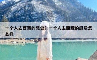 一个人去西藏的感觉？一个人去西藏的感觉怎么样