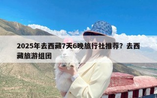 2025年去西藏7天6晚旅行社推荐？去西藏旅游组团