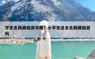 学生去西藏旅游攻略？小学生适合去西藏旅游吗