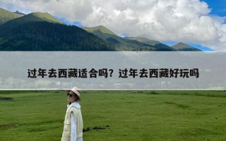 过年去西藏适合吗？过年去西藏好玩吗