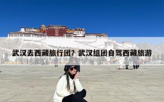 武汉去西藏旅行团？武汉组团自驾西藏旅游