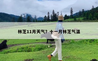 林芝11月天气？十一月林芝气温
