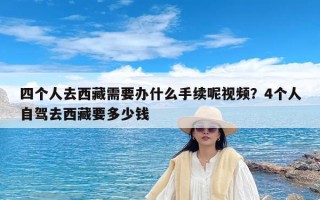 四个人去西藏需要办什么手续呢视频？4个人自驾去西藏要多少钱