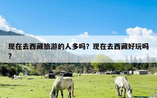 现在去西藏旅游的人多吗？现在去西藏好玩吗?