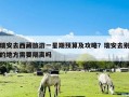 瑞安去西藏旅游一星期预算及攻略？瑞安去别的地方需要隔离吗