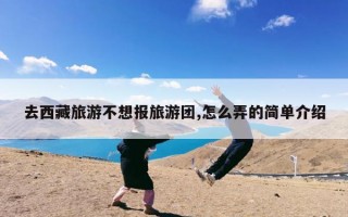 去西藏旅游不想报旅游团,怎么弄的简单介绍