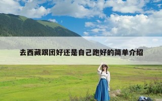 去西藏跟团好还是自己跑好的简单介绍
