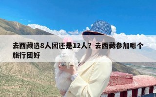 去西藏选8人团还是12人？去西藏参加哪个旅行团好
