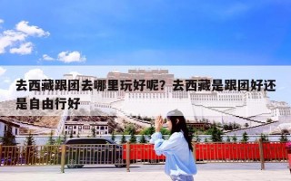 去西藏跟团去哪里玩好呢？去西藏是跟团好还是自由行好