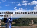 云浮到西藏旅游一周跟团游花费？云浮自驾游攻略2日游