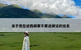 关于现在进西藏要不要进藏证的信息
