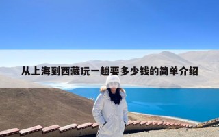 从上海到西藏玩一趟要多少钱的简单介绍