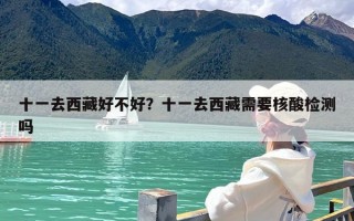 十一去西藏好不好？十一去西藏需要核酸检测吗
