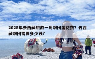 2025年去西藏旅游一周跟团游花费？去西藏跟团需要多少钱?
