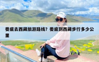 娄底去西藏旅游路线？娄底到西藏步行多少公里