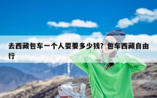 去西藏包车一个人耍要多少钱？包车西藏自由行