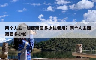 两个人去一趟西藏要多少钱费用？俩个人去西藏要多少钱