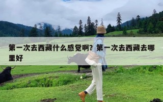 第一次去西藏什么感觉啊？第一次去西藏去哪里好