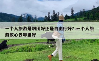 一个人旅游是跟团好还是自由行好？一个人旅游散心去哪里好