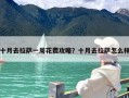 十月去拉萨一周花费攻略？十月去拉萨怎么样