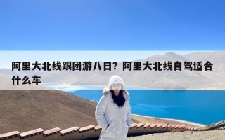 阿里大北线跟团游八日？阿里大北线自驾适合什么车