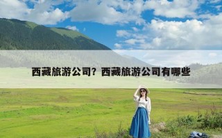 西藏旅游公司？西藏旅游公司有哪些