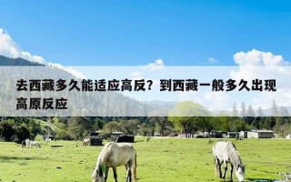 去西藏多久能适应高反？到西藏一般多久出现高原反应