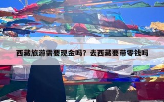 西藏旅游需要现金吗？去西藏要带零钱吗