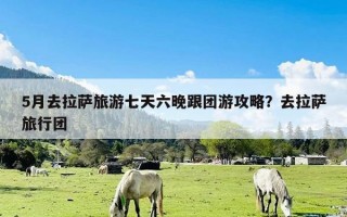 5月去拉萨旅游七天六晚跟团游攻略？去拉萨旅行团