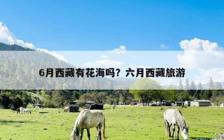 6月西藏有花海吗？六月西藏旅游