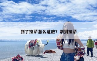 到了拉萨怎么适应？刚到拉萨