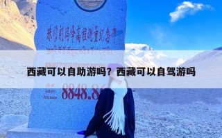 西藏可以自助游吗？西藏可以自驾游吗