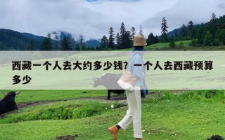 西藏一个人去大约多少钱？一个人去西藏预算多少