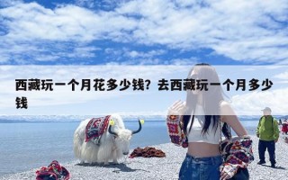 西藏玩一个月花多少钱？去西藏玩一个月多少钱